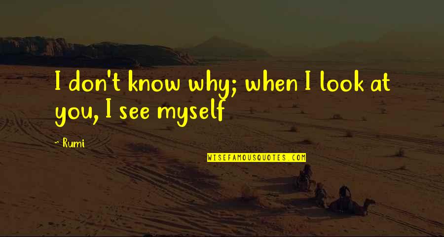 Look But Don't See Quotes By Rumi: I don't know why; when I look at
