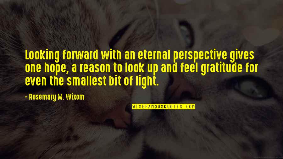 Look Into The Light Quotes By Rosemary M. Wixom: Looking forward with an eternal perspective gives one