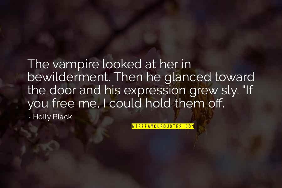 Looked Quotes By Holly Black: The vampire looked at her in bewilderment. Then