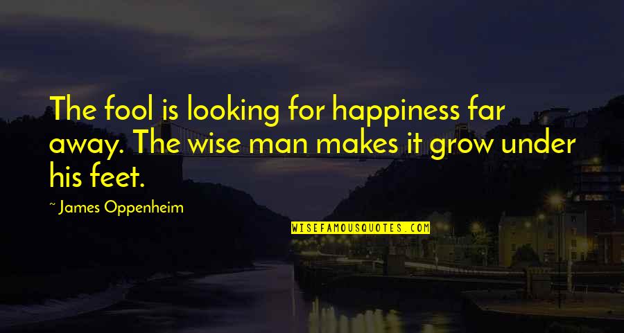 Looking For Happiness Quotes By James Oppenheim: The fool is looking for happiness far away.