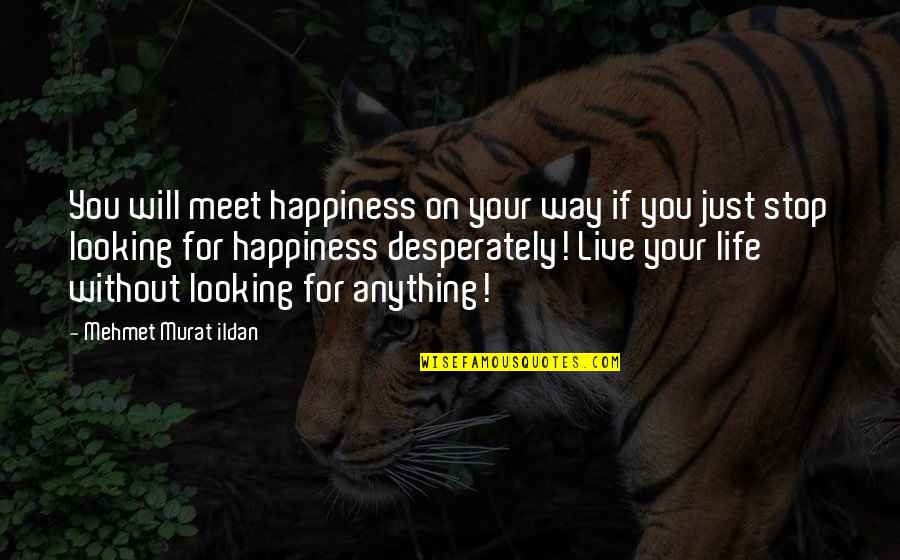 Looking For Happiness Quotes By Mehmet Murat Ildan: You will meet happiness on your way if