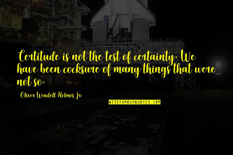 Loons Baseball Quotes By Oliver Wendell Holmes Jr.: Certitude is not the test of certainty. We