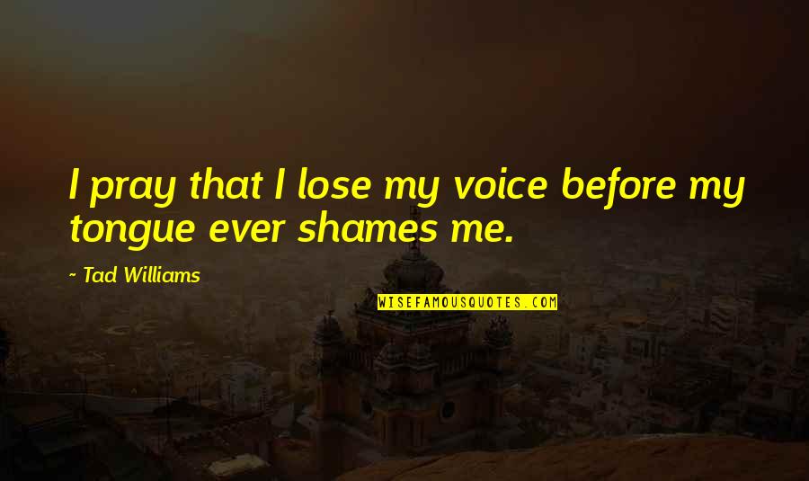 Lose Me Quotes By Tad Williams: I pray that I lose my voice before