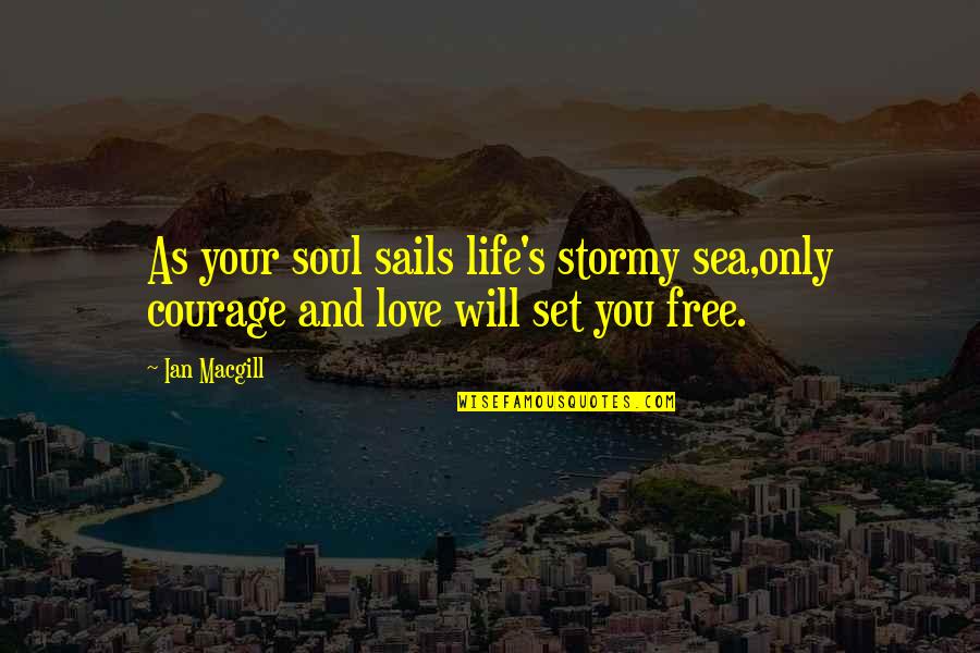 Love And Free Will Quotes By Ian Macgill: As your soul sails life's stormy sea,only courage