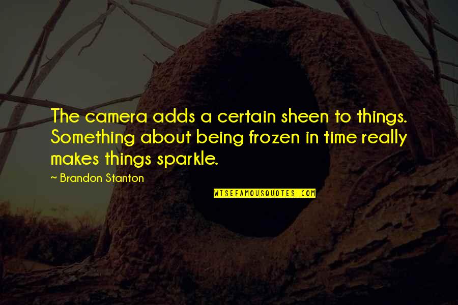 Love Anxious Quotes By Brandon Stanton: The camera adds a certain sheen to things.