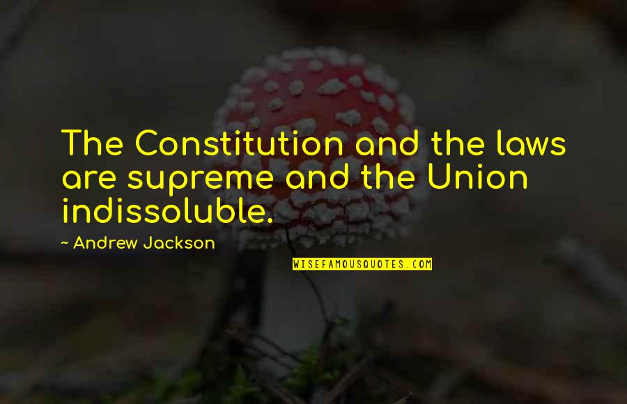 Love Beyond Imperfection Quotes By Andrew Jackson: The Constitution and the laws are supreme and