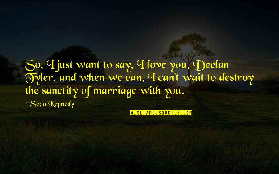 Love Destroy You Quotes By Sean Kennedy: So, I just want to say, I love
