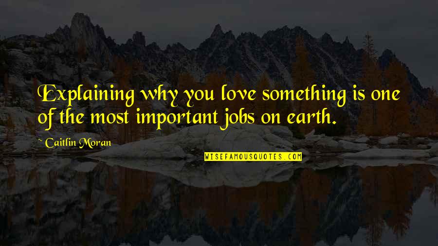 Love Explaining Quotes By Caitlin Moran: Explaining why you love something is one of