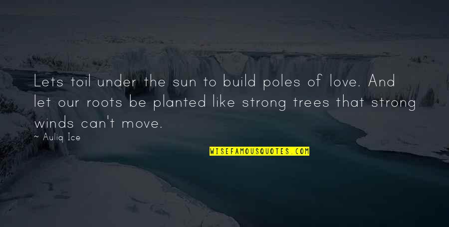 Love Helping Others Quotes By Auliq Ice: Lets toil under the sun to build poles