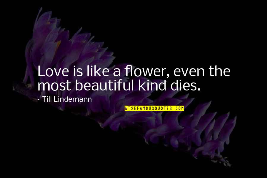 Love Is Like A Flower Quotes By Till Lindemann: Love is like a flower, even the most