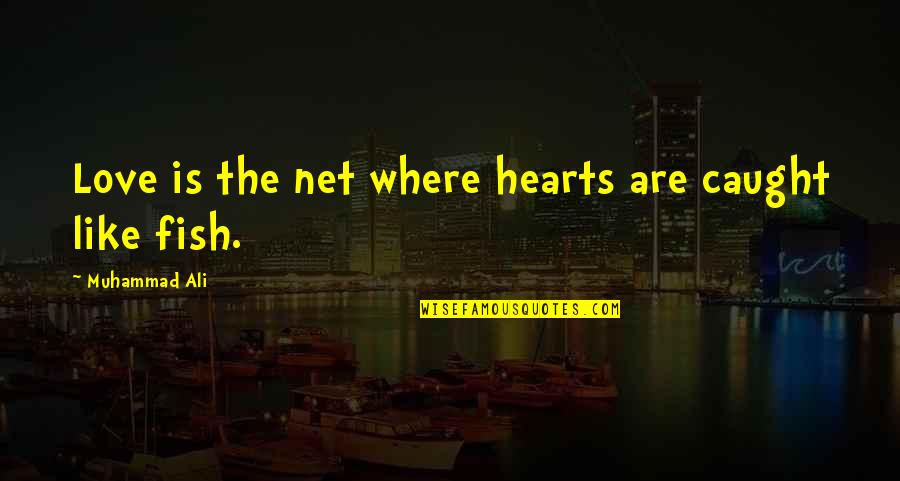 Love Is Like Quotes By Muhammad Ali: Love is the net where hearts are caught