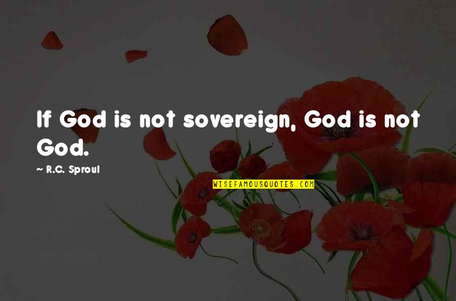 Love Johnny Cash Quotes By R.C. Sproul: If God is not sovereign, God is not