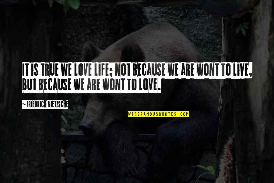 Love Life Live It Quotes By Friedrich Nietzsche: It is true we love life; not because