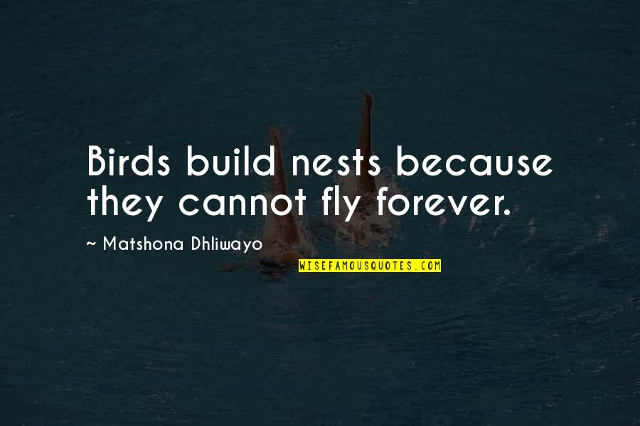 Love Nests Quotes By Matshona Dhliwayo: Birds build nests because they cannot fly forever.