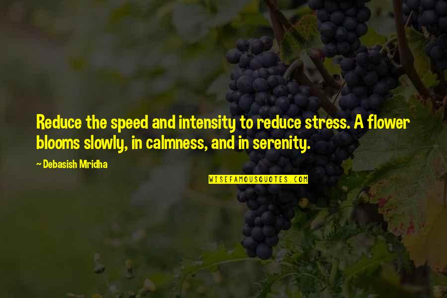 Love Slowly Quotes By Debasish Mridha: Reduce the speed and intensity to reduce stress.