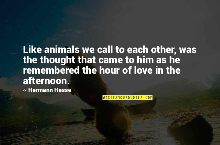 Love The Animals Quotes By Hermann Hesse: Like animals we call to each other, was