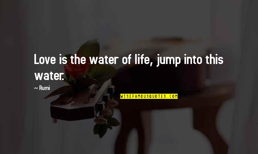 Love This Life Quotes By Rumi: Love is the water of life, jump into