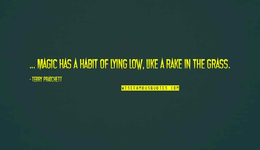 Love Thy Neighbours Quotes By Terry Pratchett: ... magic has a habit of lying low,