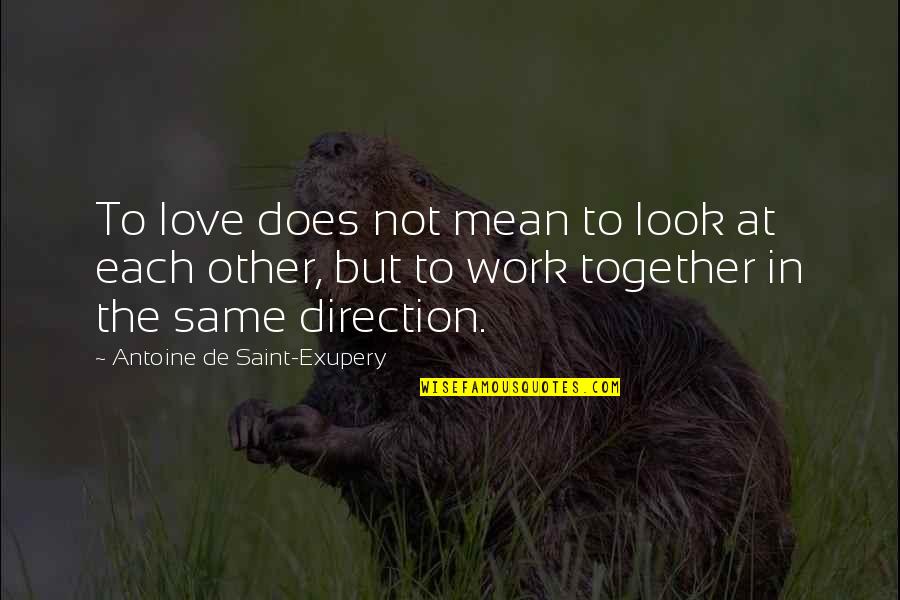 Love To Each Other Quotes By Antoine De Saint-Exupery: To love does not mean to look at