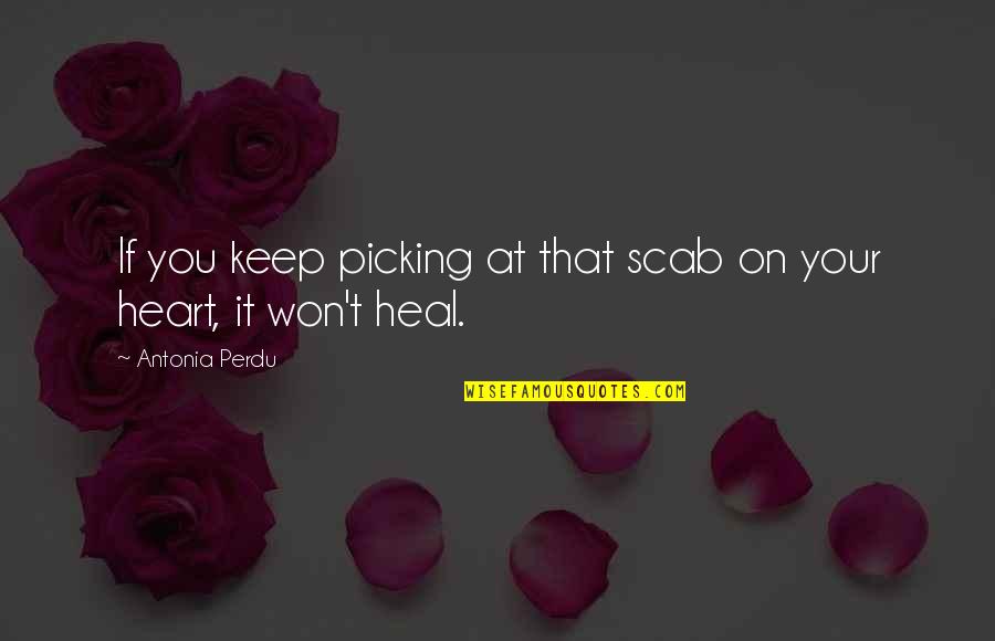 Love Wounds Quotes By Antonia Perdu: If you keep picking at that scab on