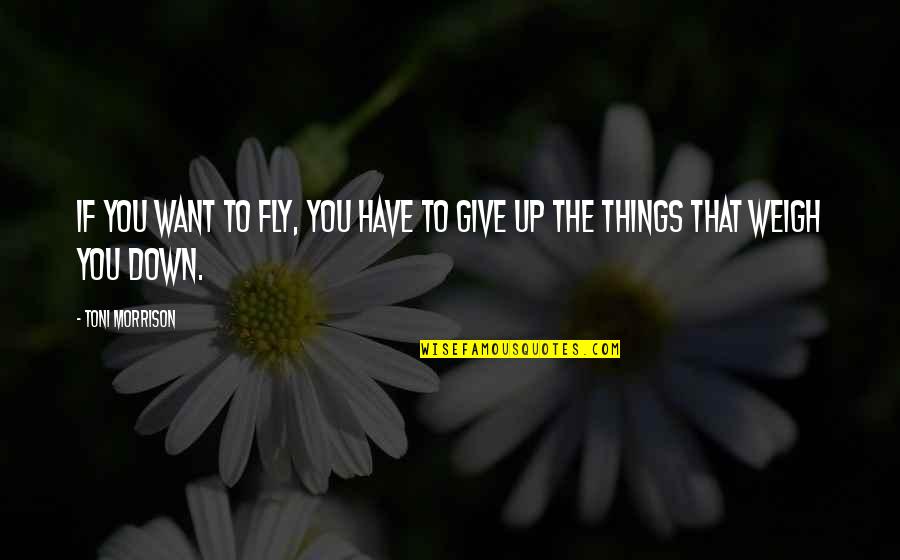 Lowbrow Quotes By Toni Morrison: If you want to fly, you have to