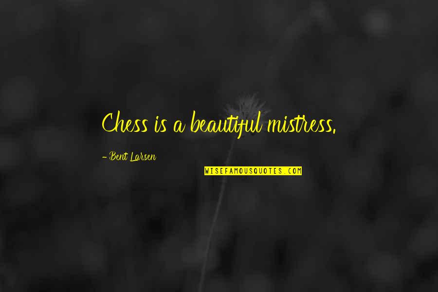 Loyalist Propaganda Quotes By Bent Larsen: Chess is a beautiful mistress.