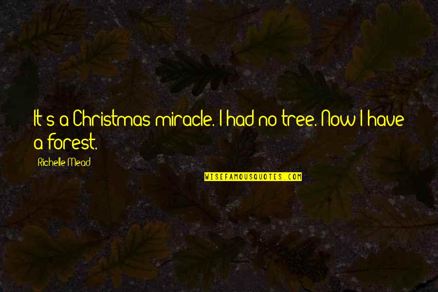 Luardo Cherry Quotes By Richelle Mead: It's a Christmas miracle. I had no tree.