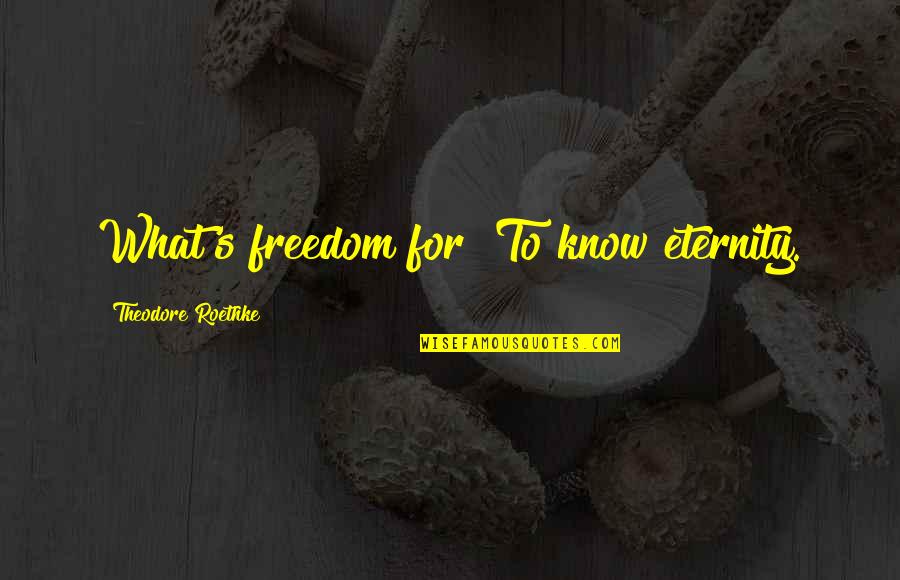 Luminosos Juan Quotes By Theodore Roethke: What's freedom for? To know eternity.