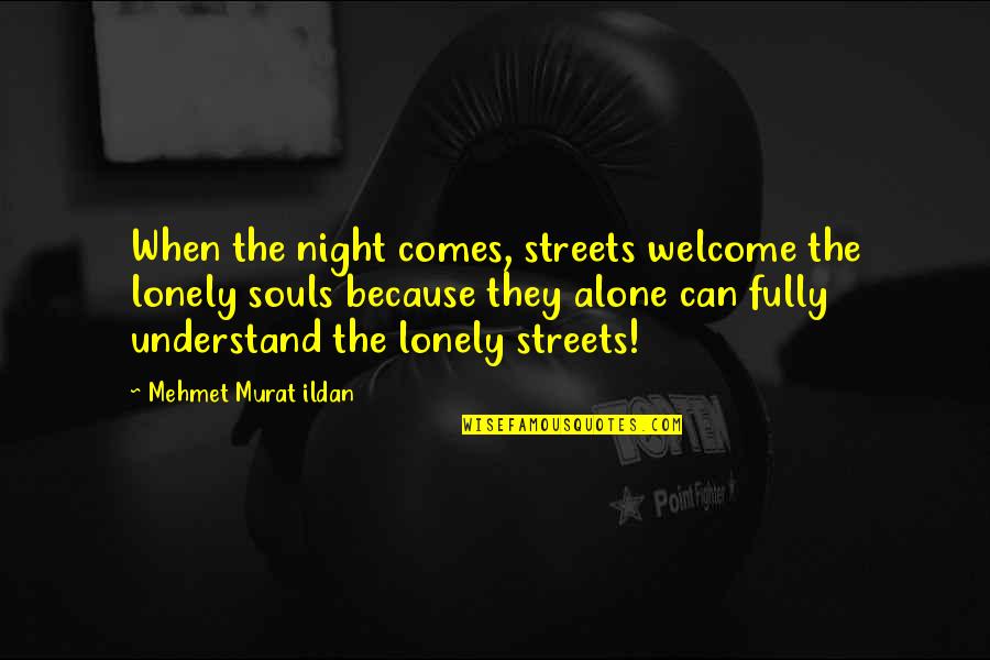 Luttons Plumbing Quotes By Mehmet Murat Ildan: When the night comes, streets welcome the lonely