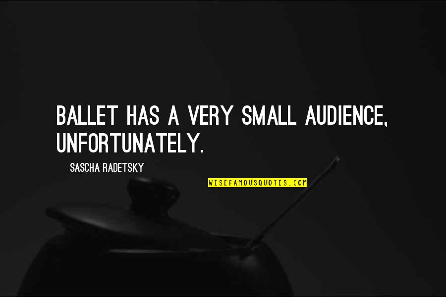 Luttons Plumbing Quotes By Sascha Radetsky: Ballet has a very small audience, unfortunately.