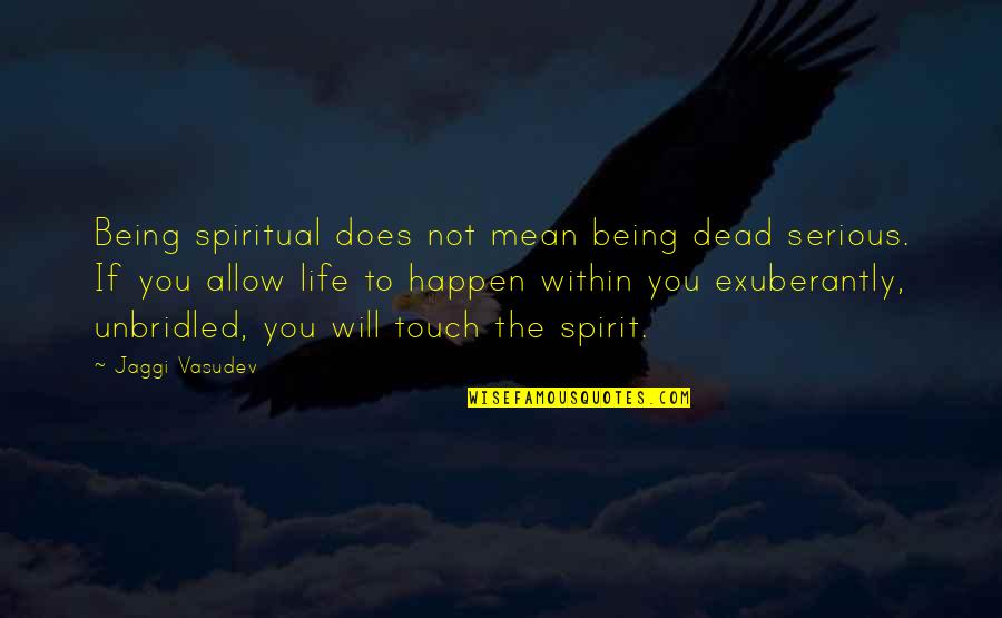 Lyndaker Inlay Quotes By Jaggi Vasudev: Being spiritual does not mean being dead serious.