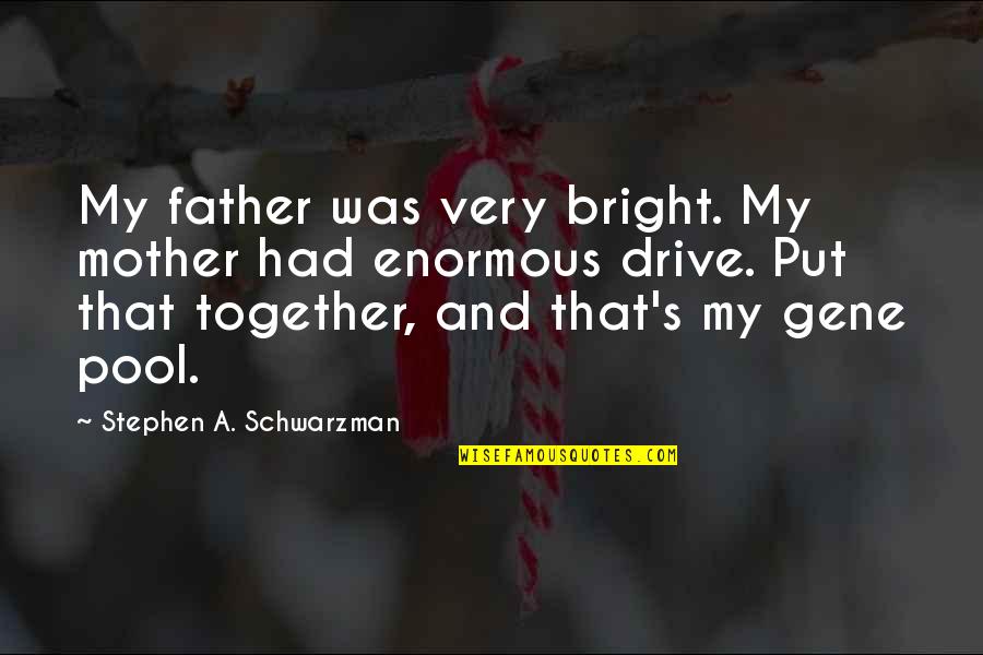 Macbeth Young Siward Quotes By Stephen A. Schwarzman: My father was very bright. My mother had