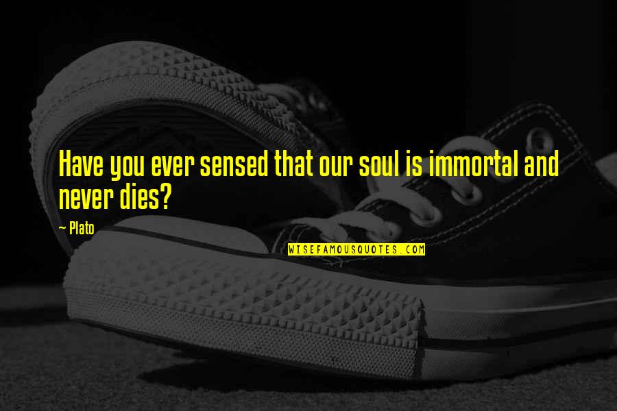 Macedoneasca Quotes By Plato: Have you ever sensed that our soul is