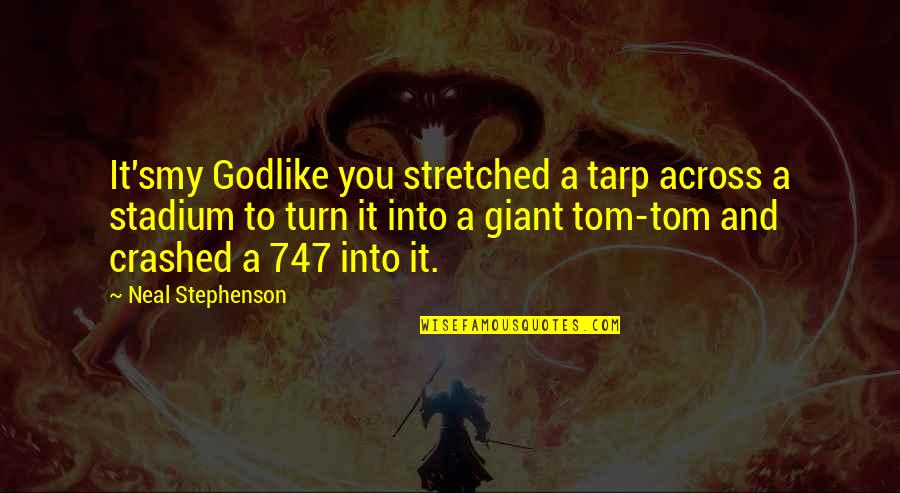 Maclaughlin Quotes By Neal Stephenson: It'smy Godlike you stretched a tarp across a