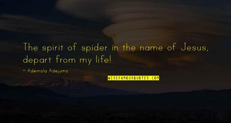 Madenford Spring Quotes By Ademola Adejumo: The spirit of spider in the name of