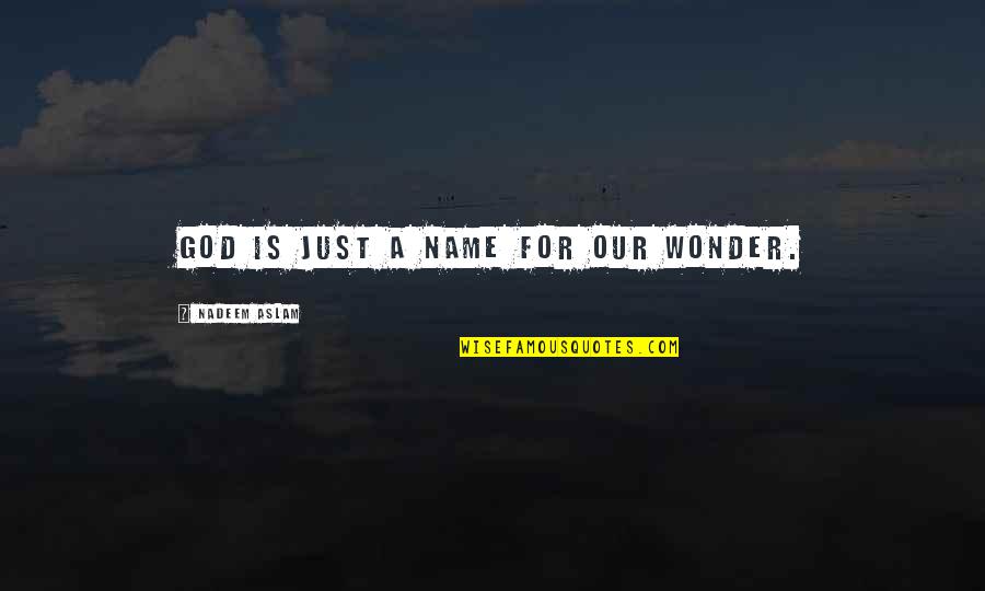 Magazzini A Segrate Quotes By Nadeem Aslam: God is just a name for our wonder.