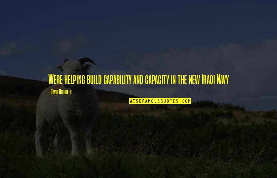 Malawian Proverbs And Quotes By David Nicholls: Were helping build capability and capacity in the