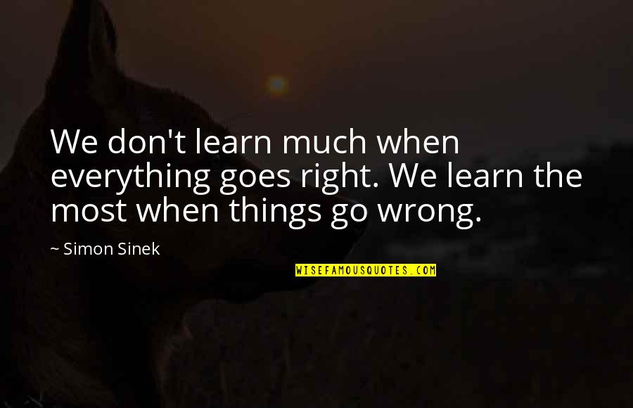 Malinconico Significato Quotes By Simon Sinek: We don't learn much when everything goes right.