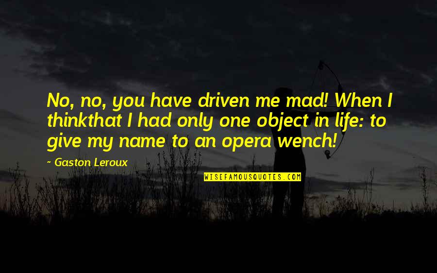 Malwarebytes Quotes By Gaston Leroux: No, no, you have driven me mad! When