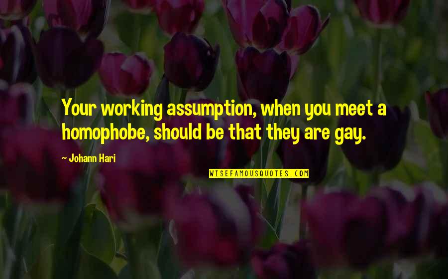 Mamma Mia The World Is Wide Quotes By Johann Hari: Your working assumption, when you meet a homophobe,