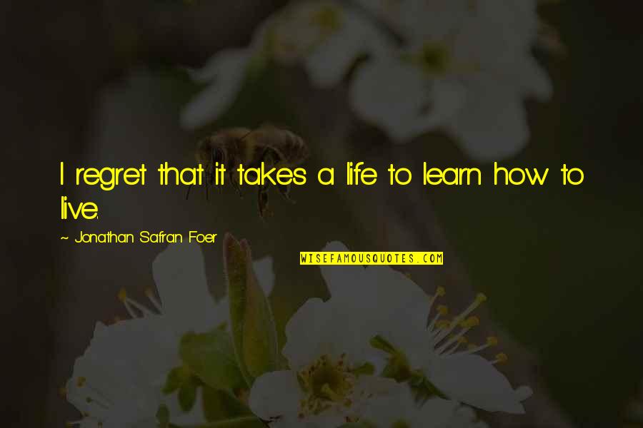 Manda Bala Quotes By Jonathan Safran Foer: I regret that it takes a life to