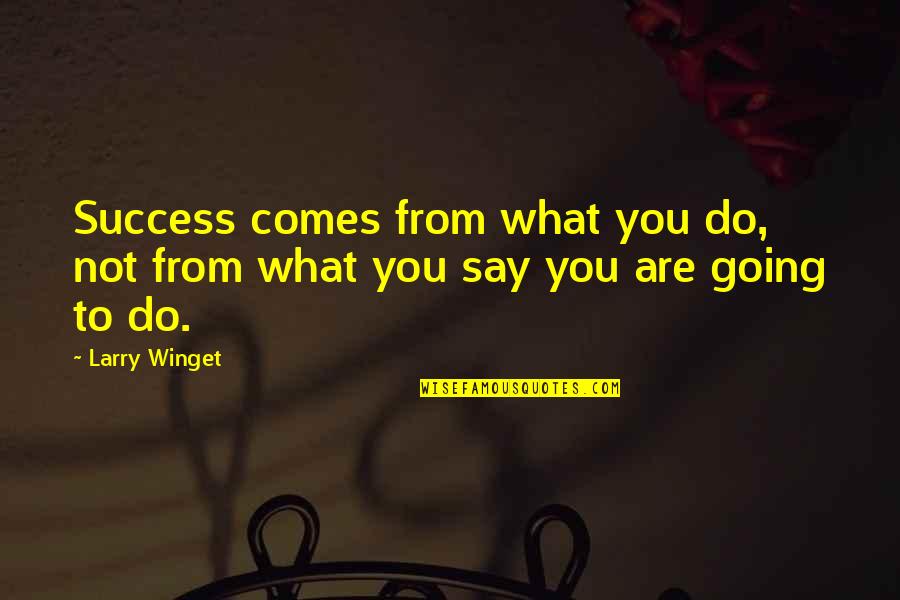 Manda Bala Quotes By Larry Winget: Success comes from what you do, not from