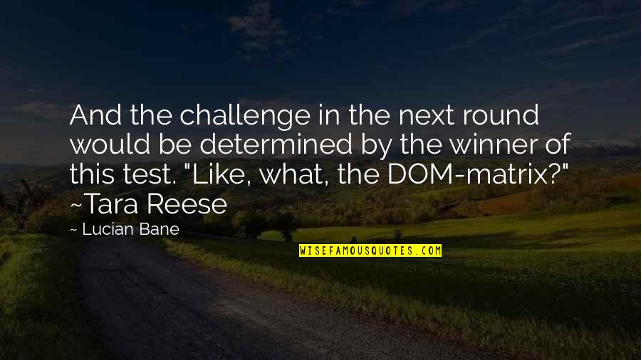 Manfroi Waterloo Quotes By Lucian Bane: And the challenge in the next round would