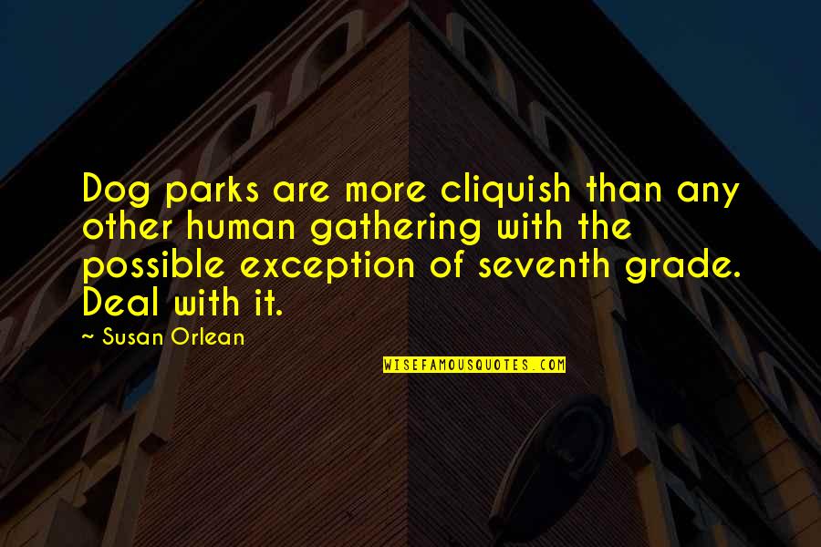 Manitas Restaurant Quotes By Susan Orlean: Dog parks are more cliquish than any other