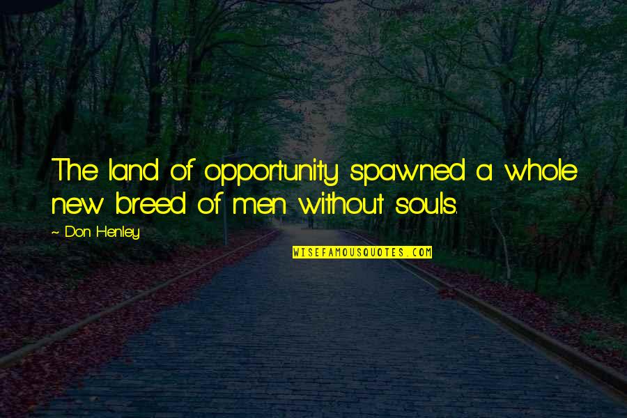 Marangiolo Quotes By Don Henley: The land of opportunity spawned a whole new