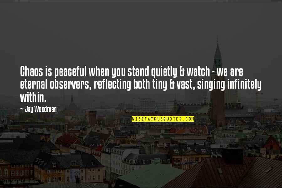 Marcados De Cuadernos Quotes By Jay Woodman: Chaos is peaceful when you stand quietly &