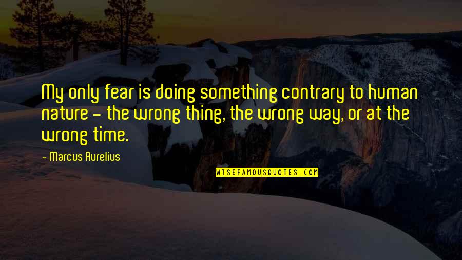 Marcus Aurelius Fear Quotes By Marcus Aurelius: My only fear is doing something contrary to