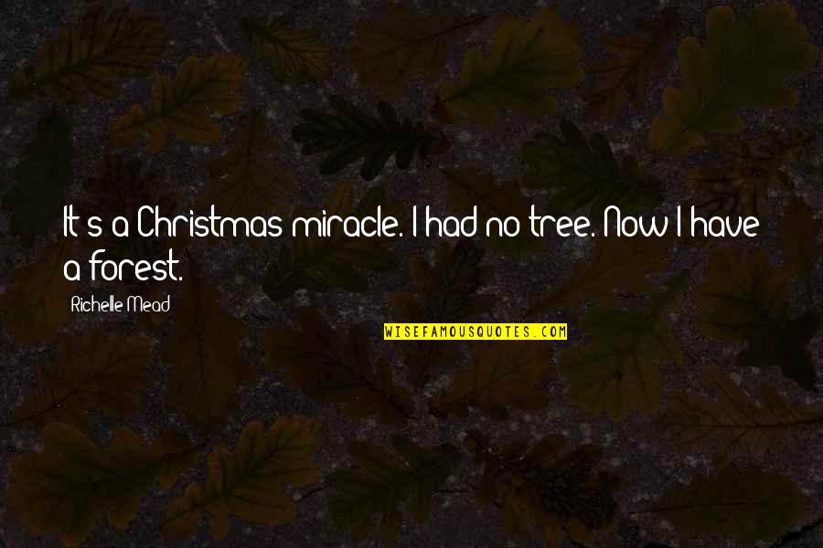 Marie Henri Beyle Quotes By Richelle Mead: It's a Christmas miracle. I had no tree.