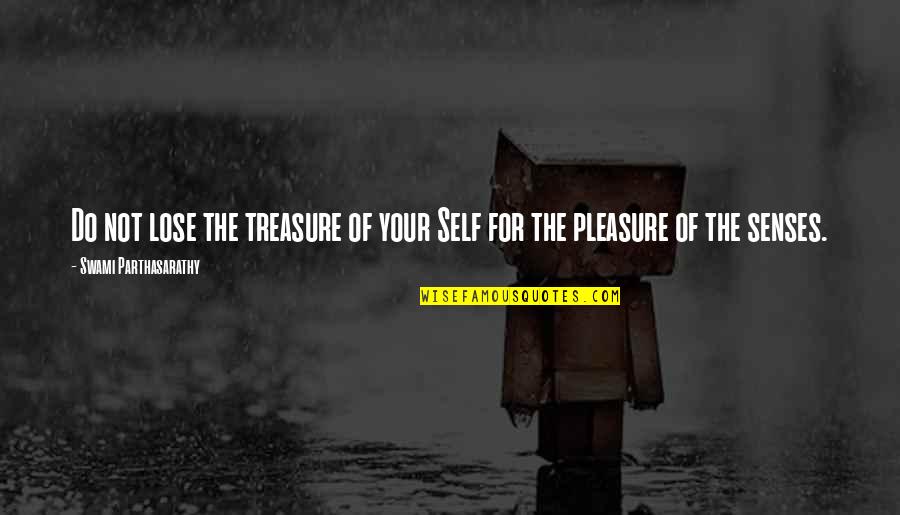 Marizela Perez Quotes By Swami Parthasarathy: Do not lose the treasure of your Self