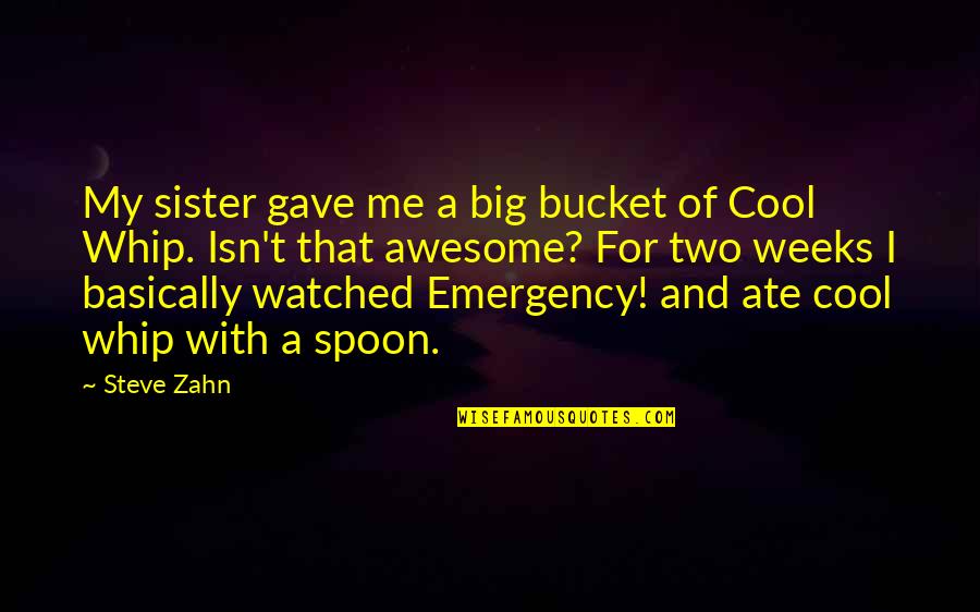 Mark Twain School Quotes By Steve Zahn: My sister gave me a big bucket of